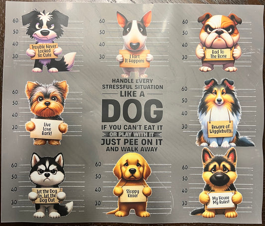 Dog Lovers